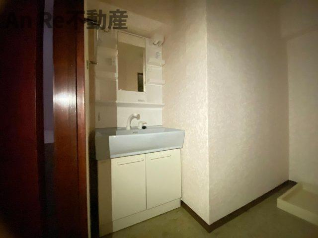 ロイヤルメゾンⅡの洗面所