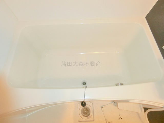 スカイコートパレス蒲田Ⅱの浴室