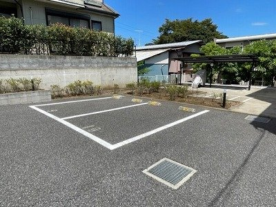 レオネクストシャインブルーのその他