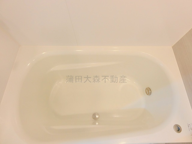 メイクスデザイン千鳥町アジールコートの浴室