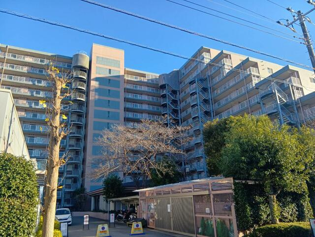 白井ロジュマンのその他