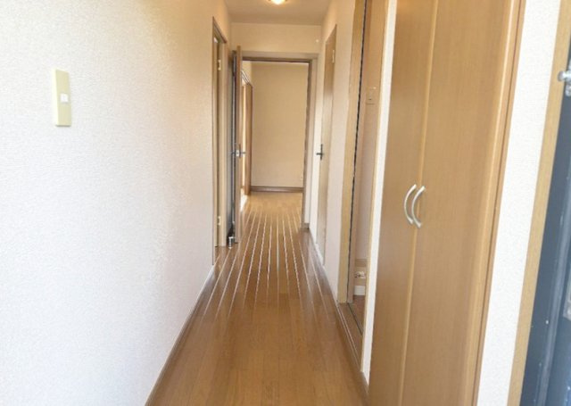 菊池郡菊陽町大字津久礼の賃貸マンションの玄関|玄関です