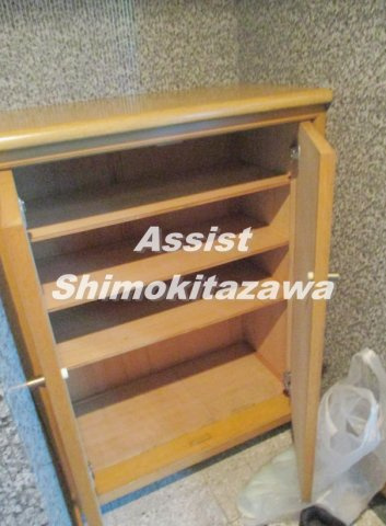 白樺のその他