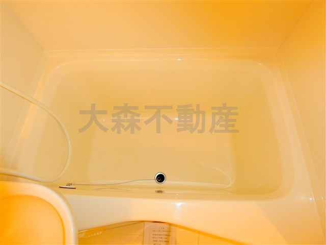 カテリーナ大森の浴室