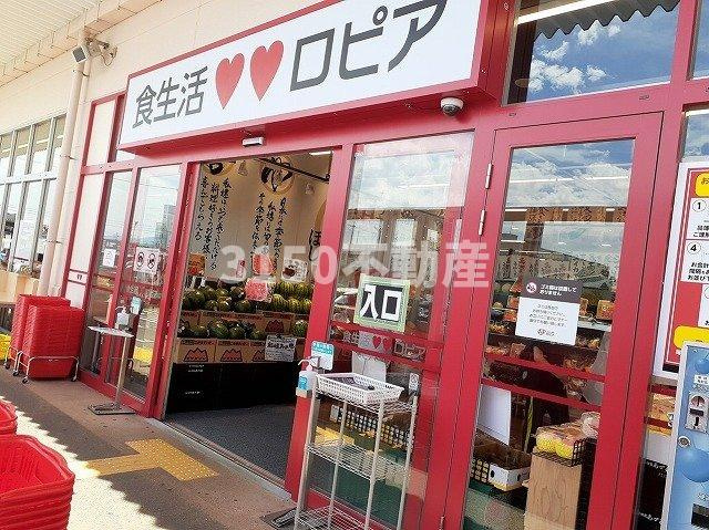 パーク　ビューの周辺|ロピア柳津店まで1200m