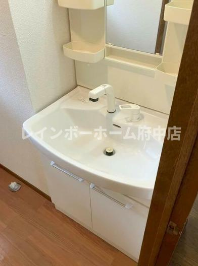 ドミールアオキの独立洗面台