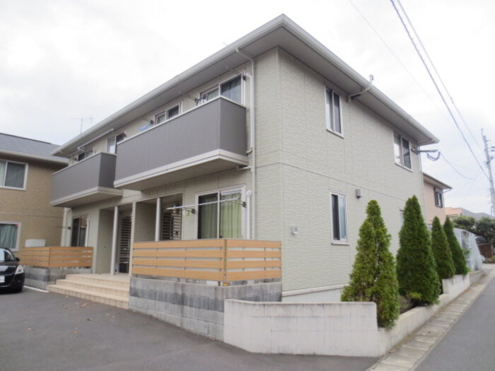 パストラル秋桜 の画像