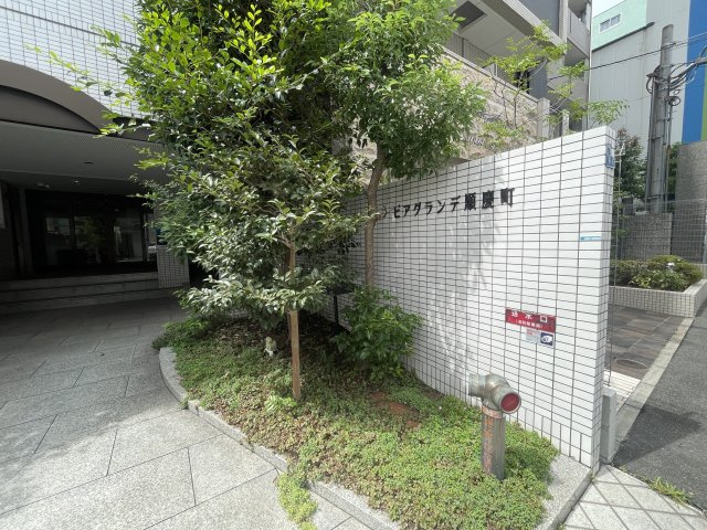 ピアグランデ順慶町のエントランス|落ち着いたエントランスです