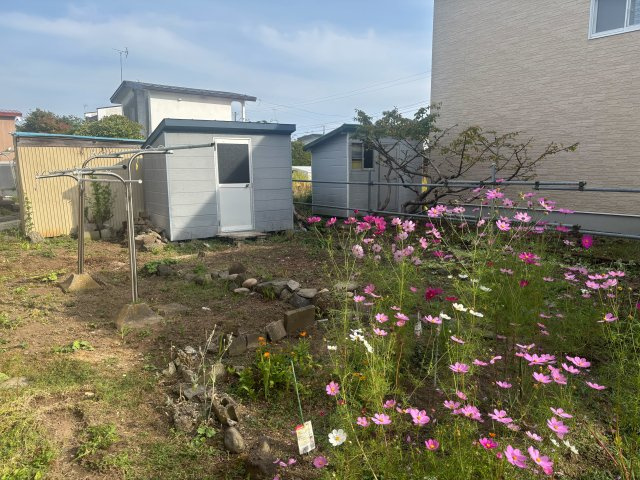 【益浦4】バス停徒歩3分×2006年1階フルリフォーム済快適4LDK戸建！の庭|色鮮やかな花々と物置スペースのある、広々としたお庭。