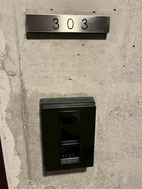 Ｌｙｏｎｅｓｓのその他