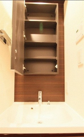 レアライズ清澄白河の洗面所