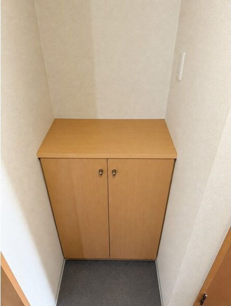 ソシオ豊田聖心町の収納