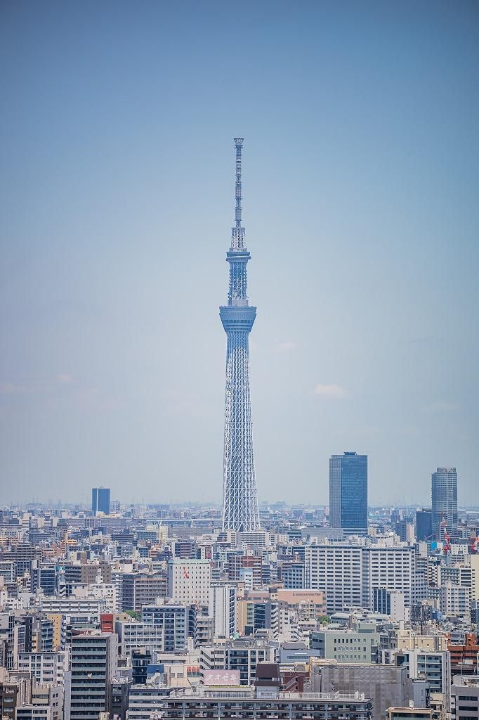 アーバンドックパークシティ豊洲タワーＡ
