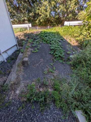 岡山市北区津島京町2丁目 中古住宅の前面道路含む現地写真|◆西側前面道路の幅員は4.0ｍです。