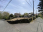 すいらん荘別荘地　売地の画像
