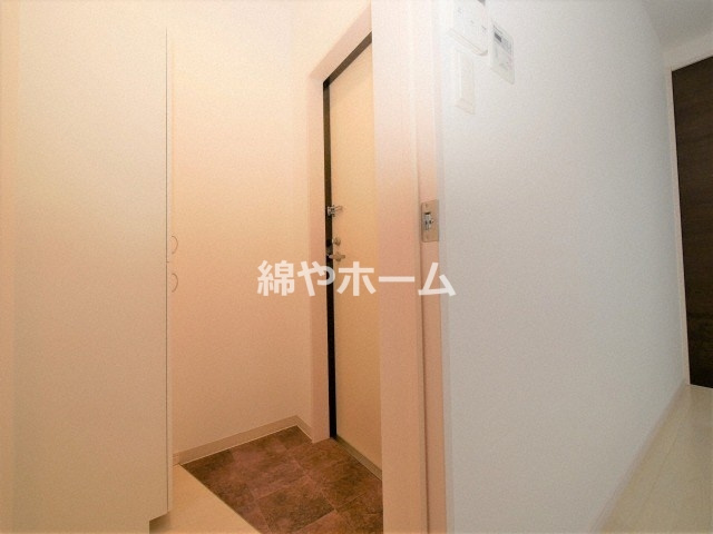 Ｆ　ａｓｅｃｉａ　ｌｉｐｉｎｅのその他