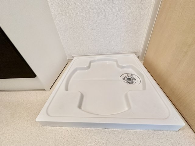 メゾンド　シュシュ　セントラルの洗面所