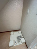 【設備】エピ駒沢 