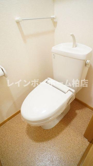 特典：仲介手数料が50％OFFです‼のトイレ|落ち着いたトイレです