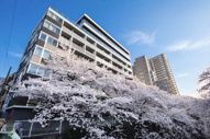 新宿区西早稲田１丁目のマンションの画像
