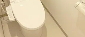 パレステージ東十条のトイレ
