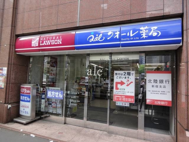 新宿区西新宿６丁目の賃貸マンションの周辺