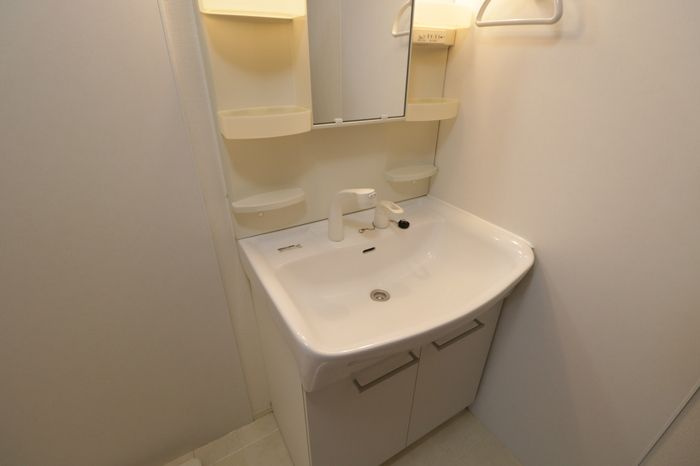 D-roomアッシュの洗面所
