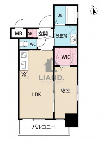 タツミ大橋　三宅小学校区の間取り|タツミ大橋
