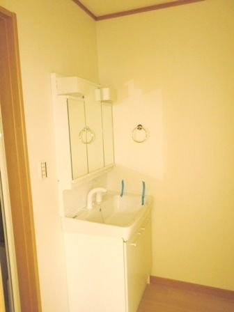 MaJestic Houseの洗面所
