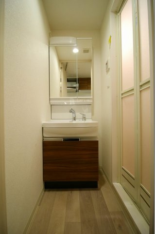 プレサンス松屋町ヴェルデスの洗面所