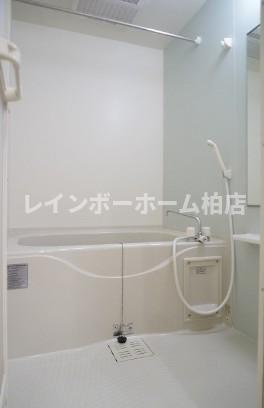 特典：仲介手数料が50％OFFです‼の浴室|きれいなお風呂です