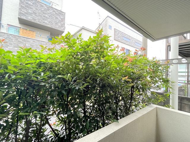 メゾンクレールの展望|★植栽で人目も気になりにくいです★