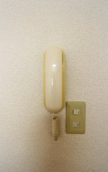 リリーテラスＡのセキュリティ