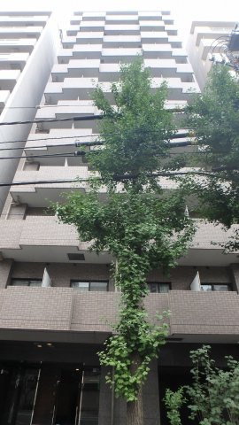 ルーブル文京音羽の外観