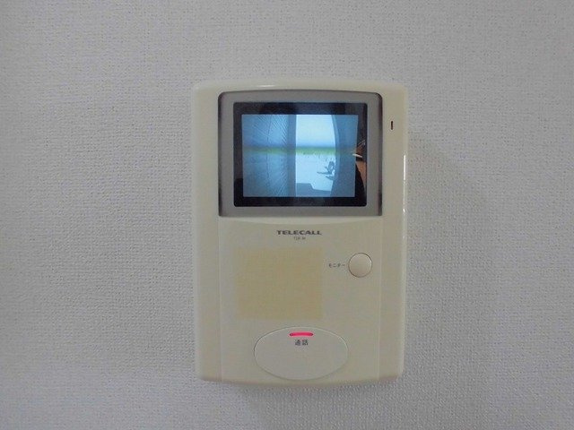 ハナミズキのセキュリティ