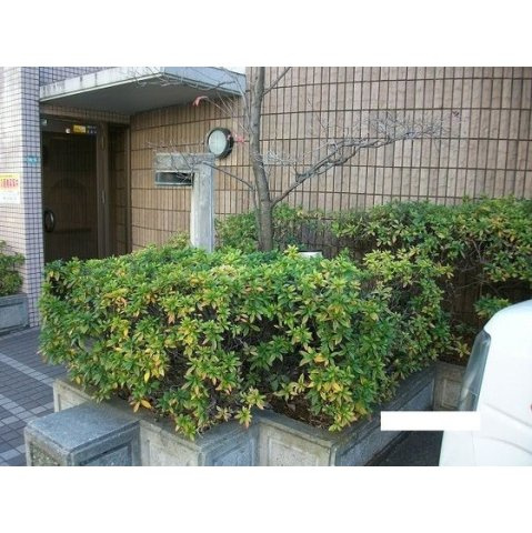 ＢＩ　ＣＡＳＴＬＥ　ＮＡＫＡＮＯのその他