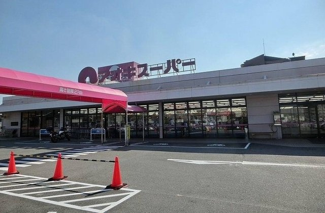 コーポラスタウン白鳥Ｃの周辺|アオキスーパーまで270m