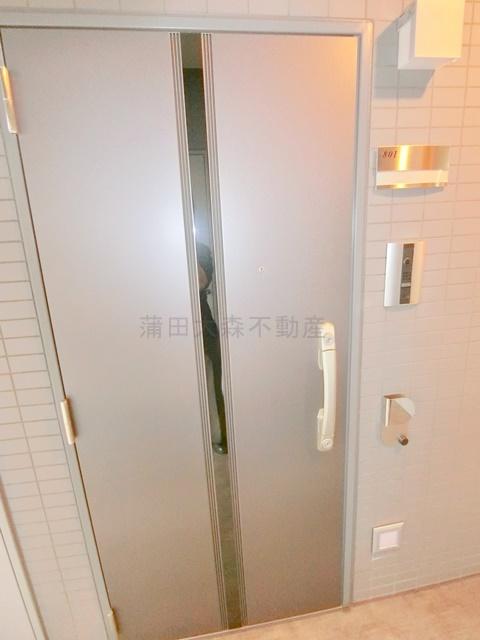グランデュールⅦ大田中央の玄関