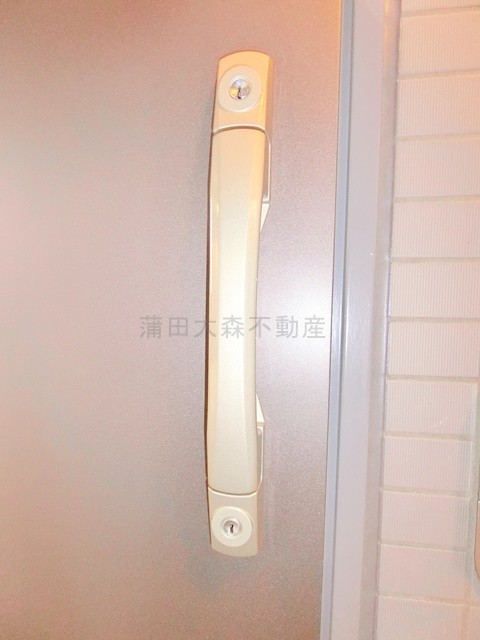 グランデュールⅦ大田中央の玄関