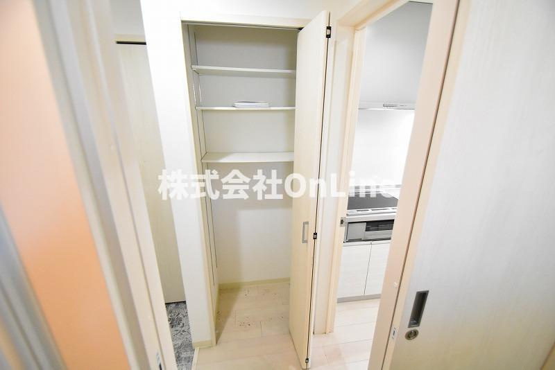 東大阪市近江堂３丁目のアパートの収納