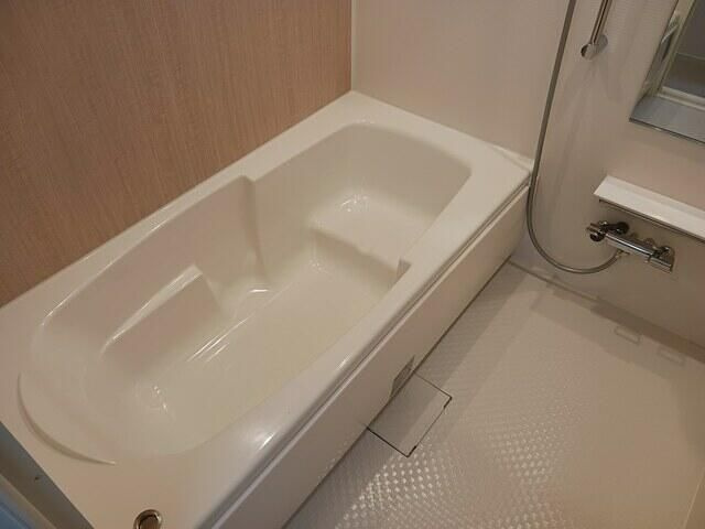 ハウス　フェリーチェ　Ⅱの浴室