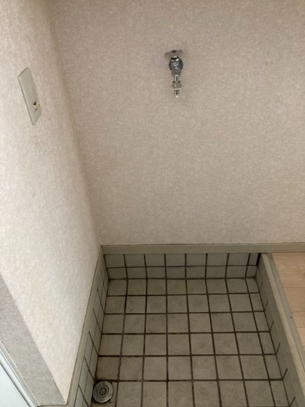 ローズアパートQ63番館の洗面所