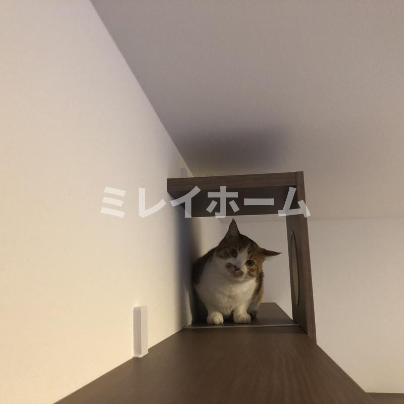ソラニテ馬込のその他|ペット飼育可能です