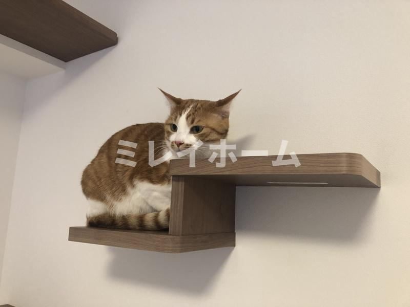 ソラニテ馬込のその他|ペット飼育可能です