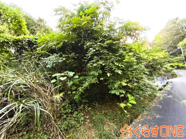 【外観】 | 自然に囲まれた売土地／姫路市夢前町護持