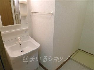 ドリームシャトー深川の洗面所