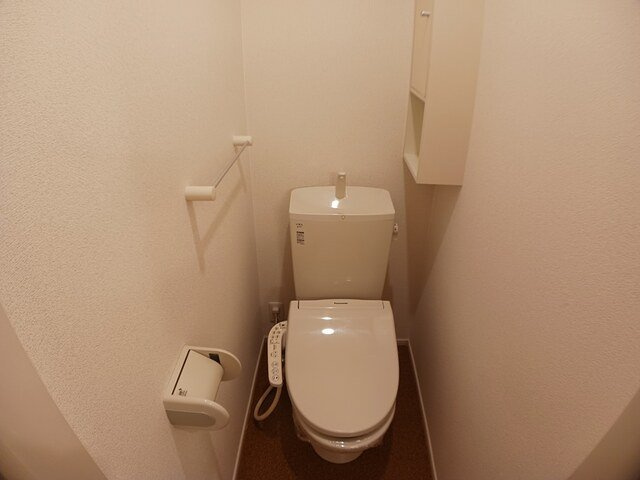 カーサ・ビオーラⅡのトイレ|トイレです