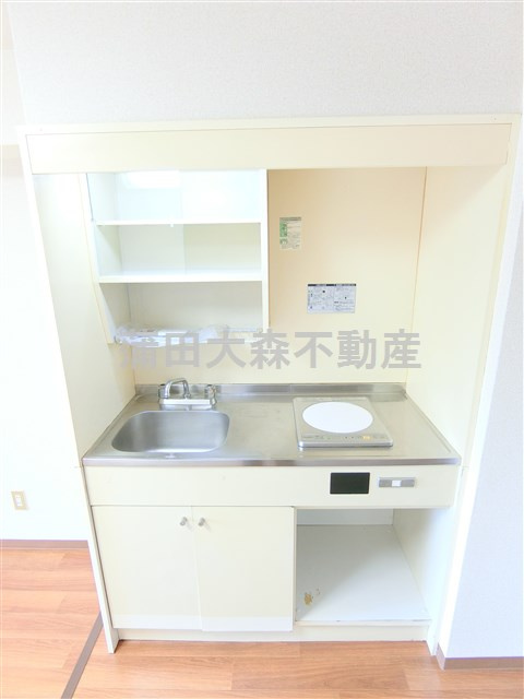 ペガサスステーションプラザ蒲田のキッチン|IHキッチン