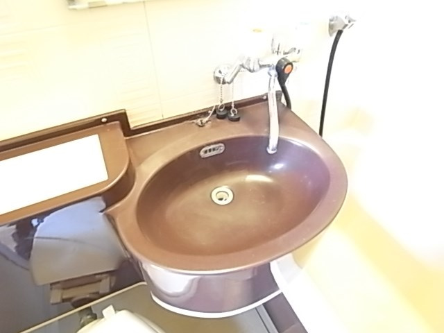 リバーヒルハイツの洗面所