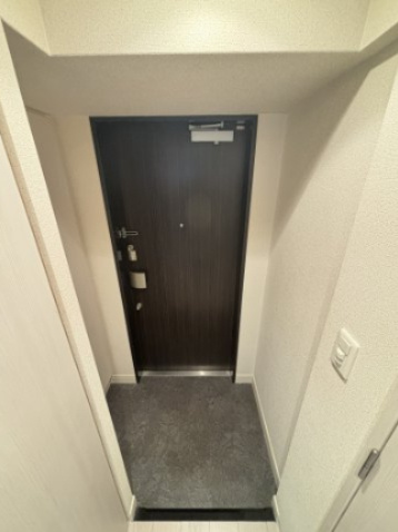 プレサンスタワー北浜の玄関